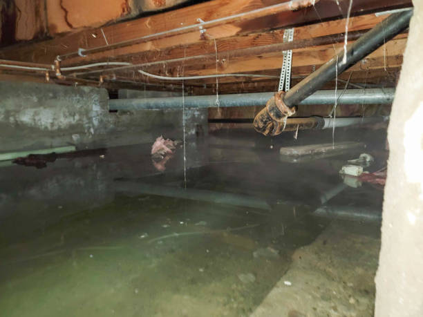 Best Flood restoration services  in Granger, IN