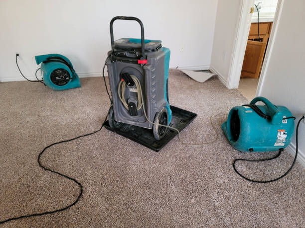  Granger, IN Water damage restoration Pros