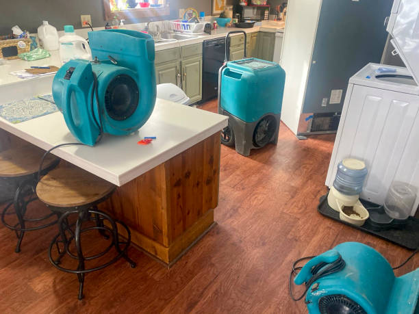 Best Water damage restoration specialists  in Granger, IN