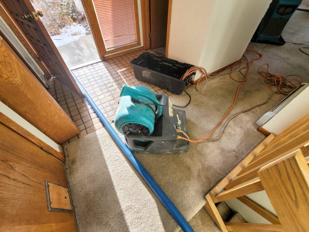Best Water damage contractors near me  in Granger, IN