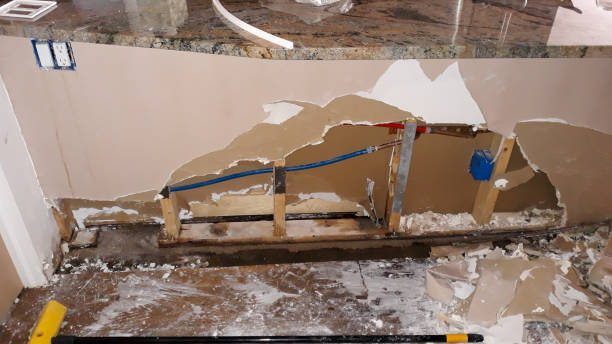Best 24/7 water damage repair  in Granger, IN