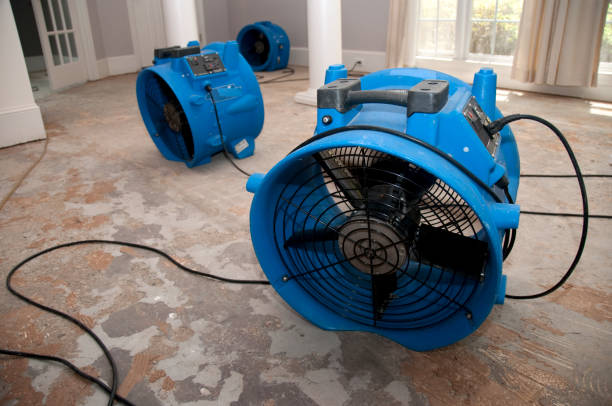 Best Emergency water damage restoration  in Granger, IN