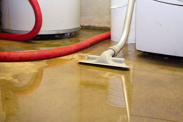 Best Fire Damage Restoration  in Granger, IN