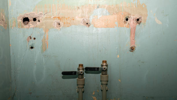 Best Carpet water damage restoration  in Granger, IN