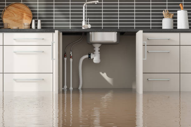 Water damage restoration process in IN