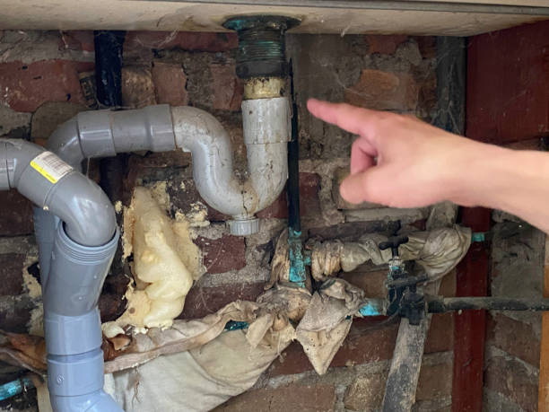 Best Water damage repair service  in Granger, IN