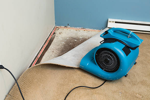 Best Water damage restoration process  in Granger, IN