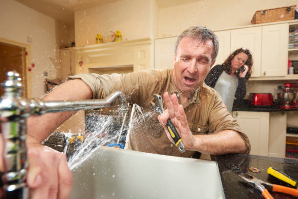 Best Flooded house restoration  in Granger, IN